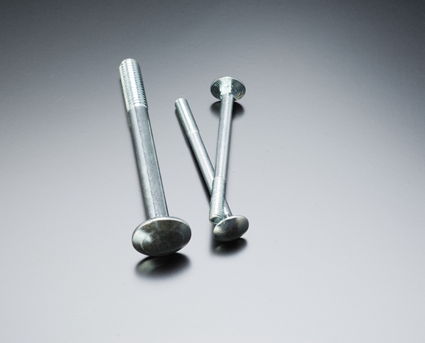 Carriage Bolt